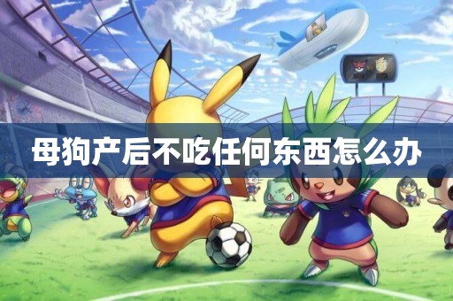 母狗產后不吃任何東西怎么辦
