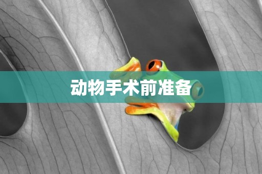 動物手術前準備