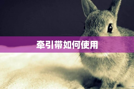 牽引帶如何使用