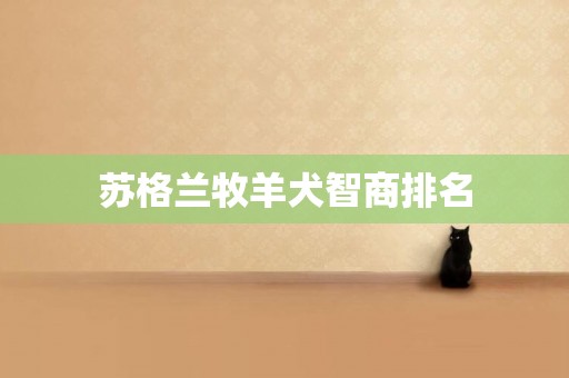蘇格蘭牧羊犬智商排名