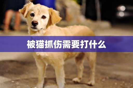 被貓抓傷需要打什么