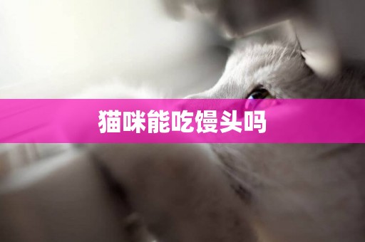 貓咪能吃饅頭嗎