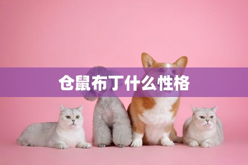 倉鼠布丁什么性格