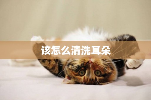 該怎么清洗耳朵