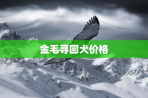 金毛尋回犬價格