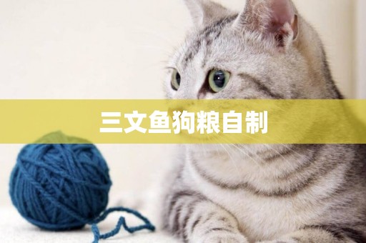 三文魚狗糧自制
