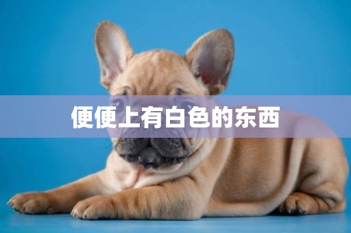 便便上有白色的東西