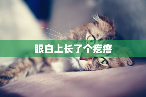 眼白上長了個疙瘩