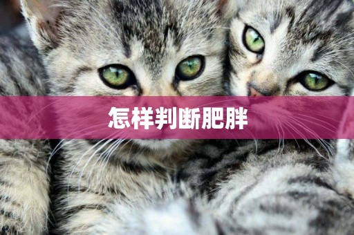 怎樣判斷肥胖
