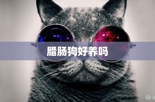 臘腸狗好養嗎