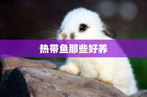 熱帶魚那些好養