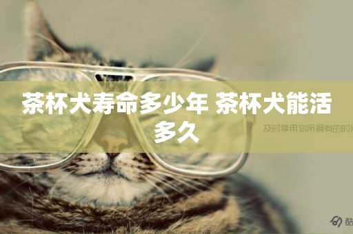 茶杯犬壽命多少年 茶杯犬能活多久