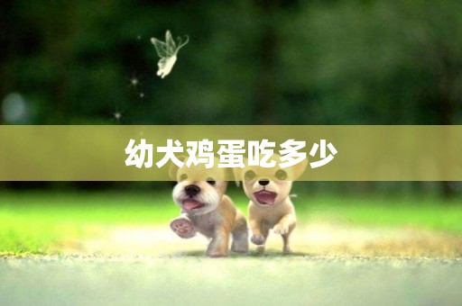 幼犬雞蛋吃多少