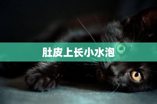 肚皮上長小水泡