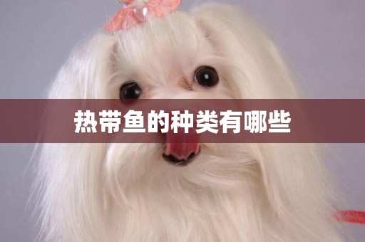 熱帶魚的種類有哪些