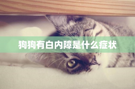 狗狗有白內障是什么癥狀