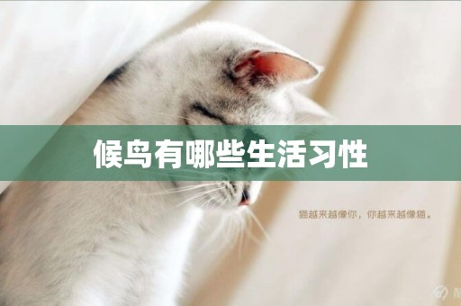 候鳥有哪些生活習性