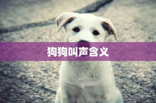 狗狗叫聲含義