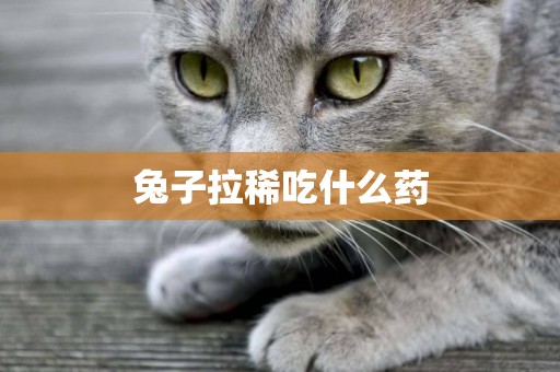 兔子拉稀吃什么藥