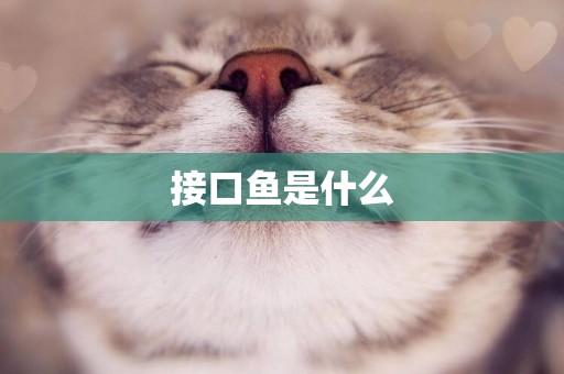 接口魚是什么