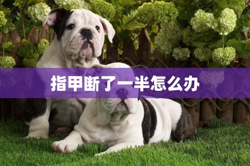 指甲斷了一半怎么辦