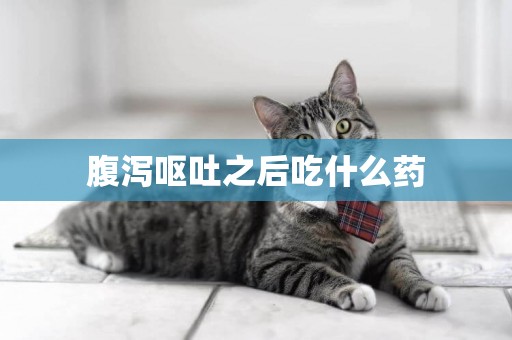 腹瀉嘔吐之后吃什么藥