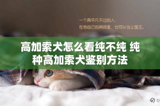 高加索犬怎么看純不純 純種高加索犬鑒別方法
