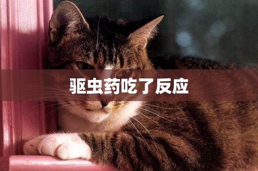 驅蟲藥吃了反應
