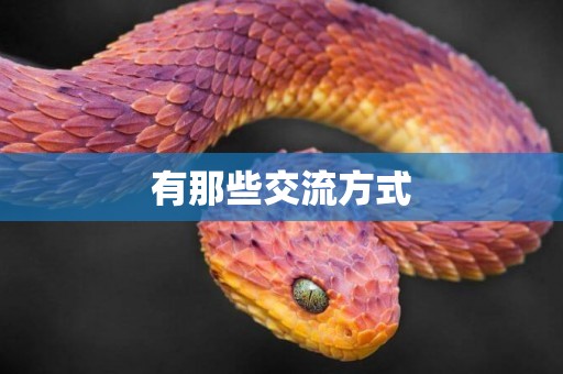有那些交流方式