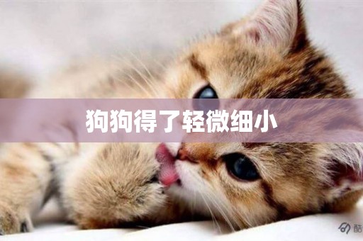 狗狗得了輕微細小