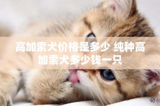 高加索犬價格是多少 純種高加索犬多少錢一只