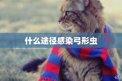 什么途徑感染弓形蟲