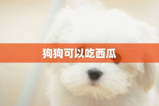 狗狗可以吃西瓜