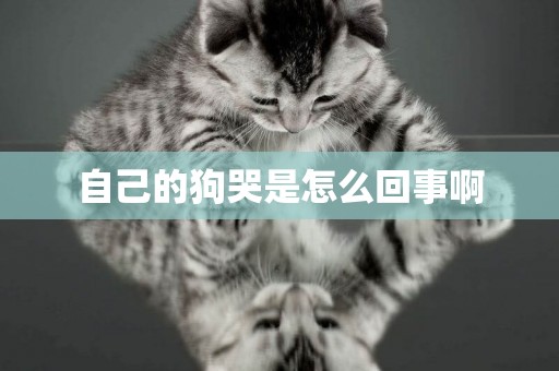 自己的狗哭是怎么回事啊