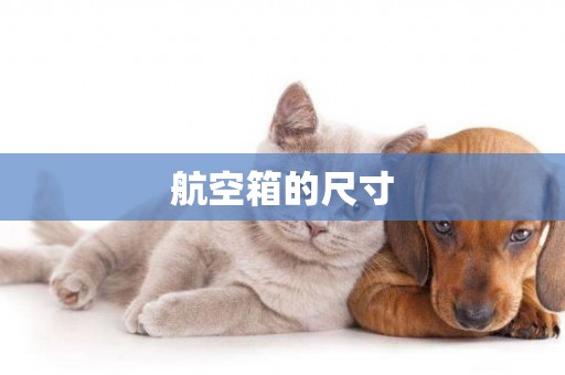 航空箱的尺寸