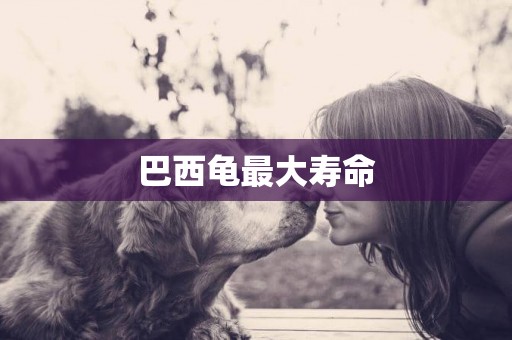 巴西龜最大壽命