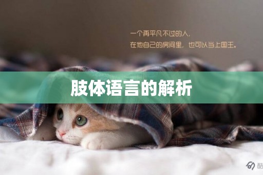肢體語言的解析