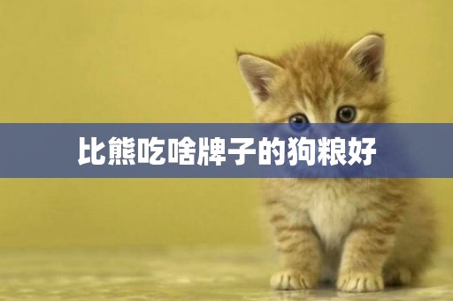 比熊吃啥牌子的狗糧好