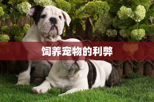 飼養寵物的利弊