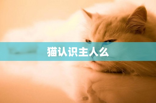 貓認識主人么