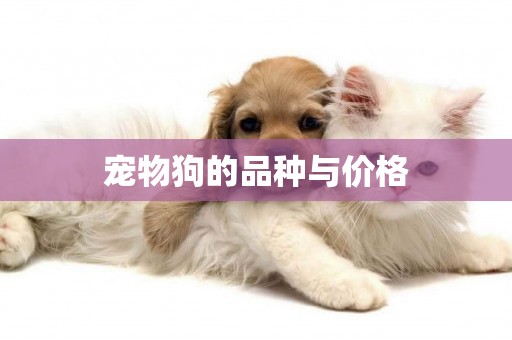 寵物狗的品種與價格