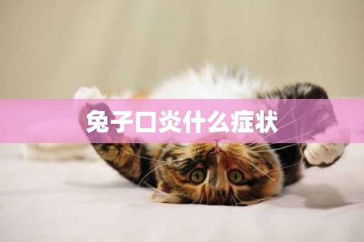 兔子口炎什么癥狀