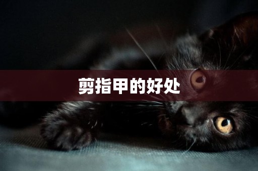 剪指甲的好處
