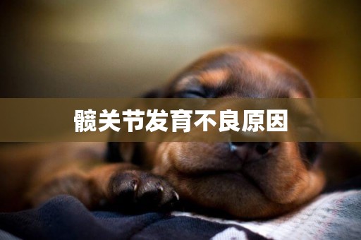 髖關節發育不良原因