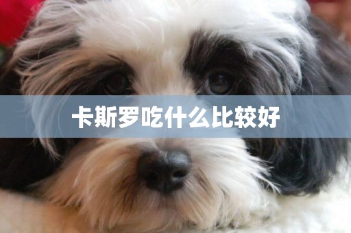 卡斯羅吃什么比較好