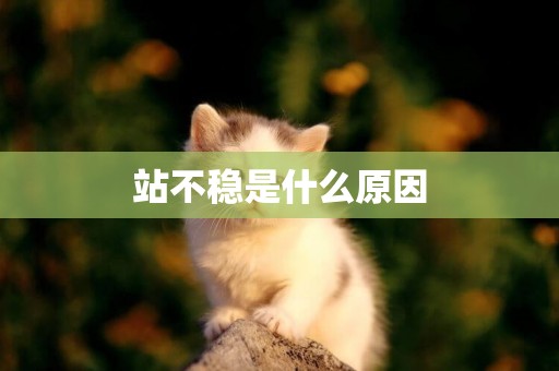 站不穩是什么原因