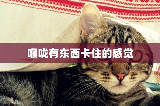 喉嚨有東西卡住的感覺