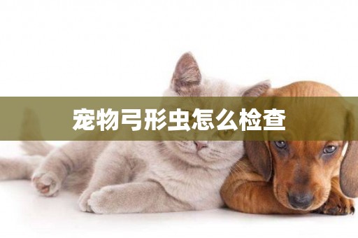 寵物弓形蟲怎么檢查