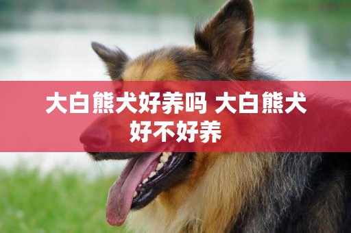 大白熊犬好養嗎 大白熊犬好不好養