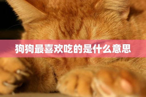 狗狗最喜歡吃的是什么意思